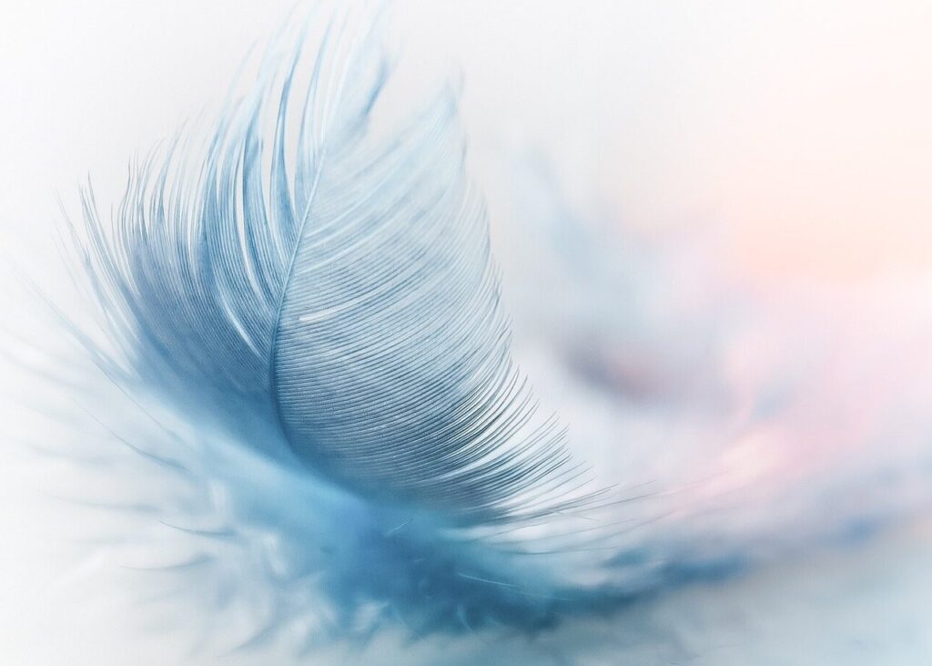 feather, ease, slightly-3010848.jpg